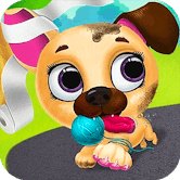 Cute Pet Friends - play Cute Pet Friends img